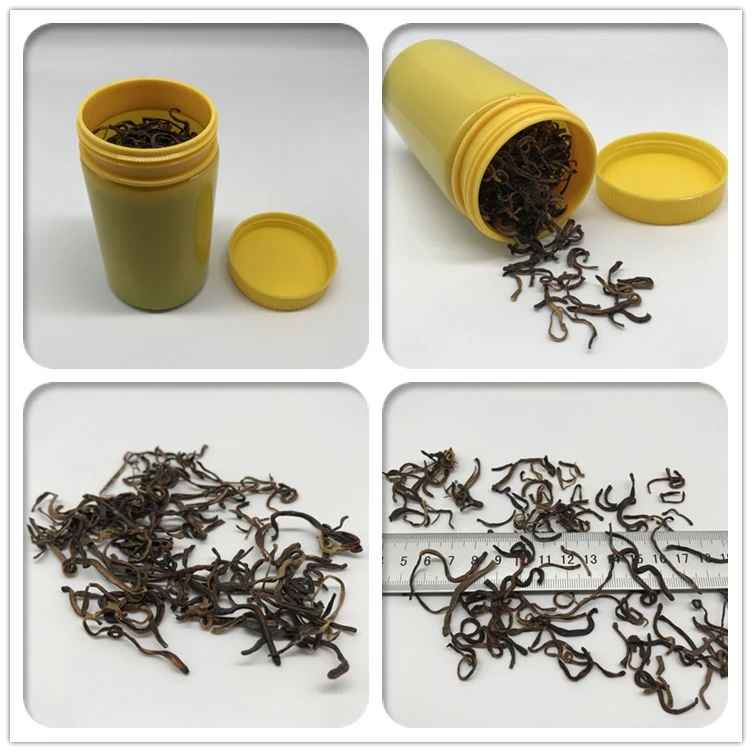 dried earthworms