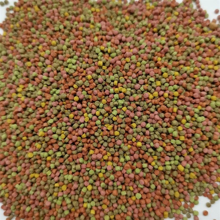 small Parrot Bird Extruded Seeds