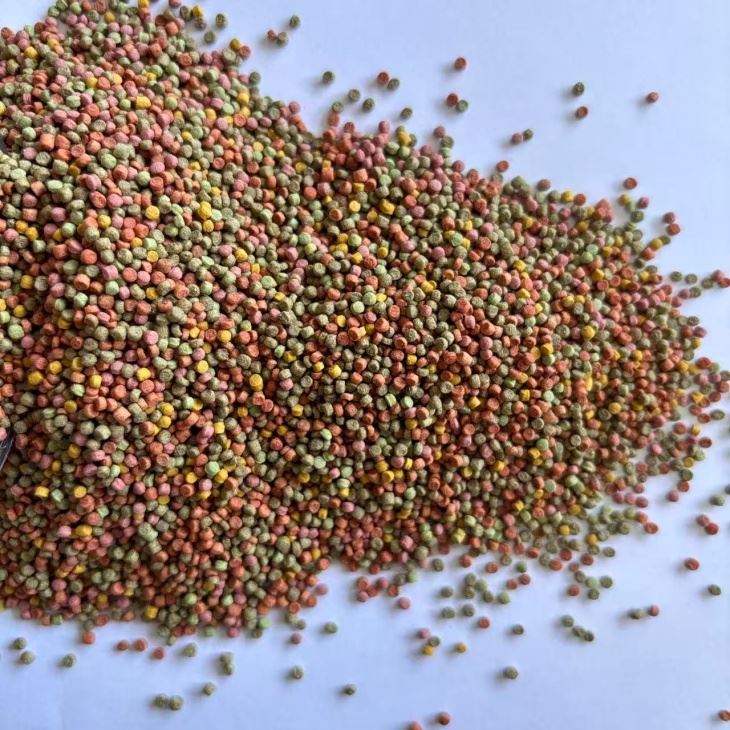 baby Parrot Bird Food